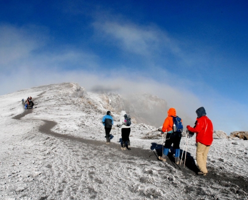 Dementia Jersey Mount Kilimanjaro Trek 2024 Climbing