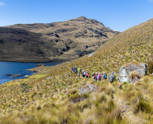 Dementia Jersey Ecuador Trek 2025