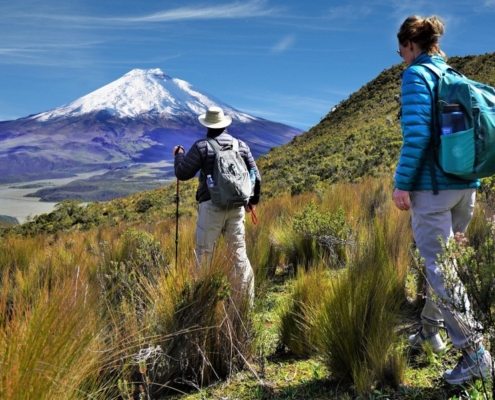 Dementia Jersey Ecuador Trek 2025