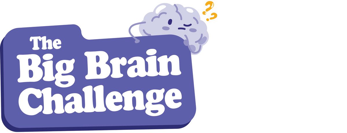 Dementia Jersey Boost Your Brain Big Brain Challenge