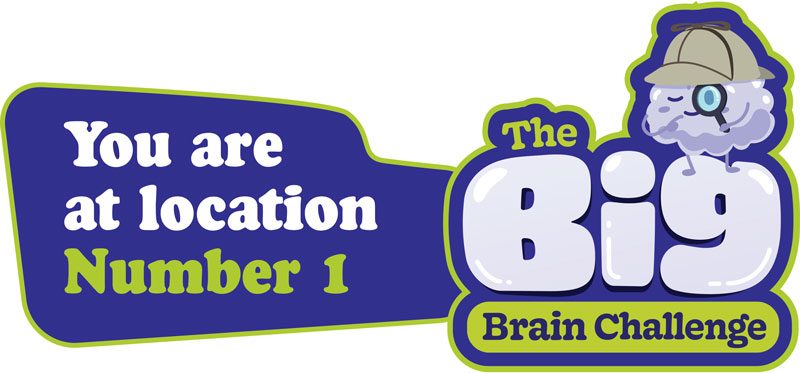 Dementia Jersey Big Brain Challenge 2025