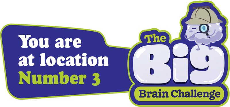 Dementia Jersey Big Brain Challenge 2025