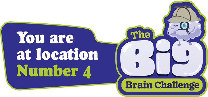 Dementia Jersey Big Brain Challenge 2025