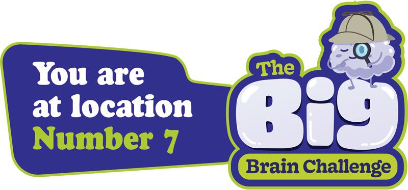 Dementia Jersey Big Brain Challenge 2025