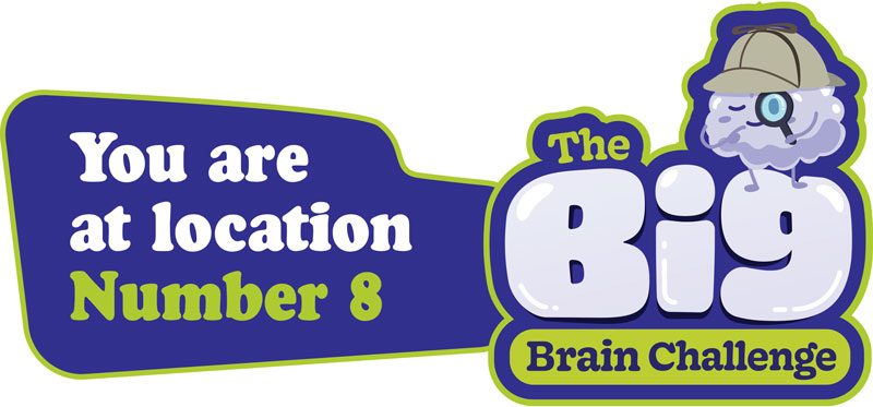 Dementia Jersey Big Brain Challenge 2025