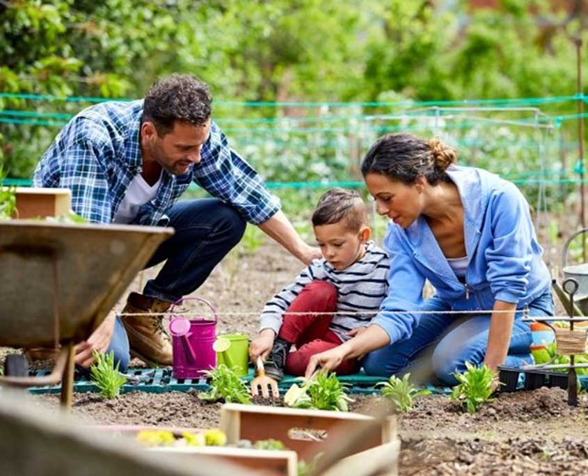 Dementia Jersey Brain Health Gardening