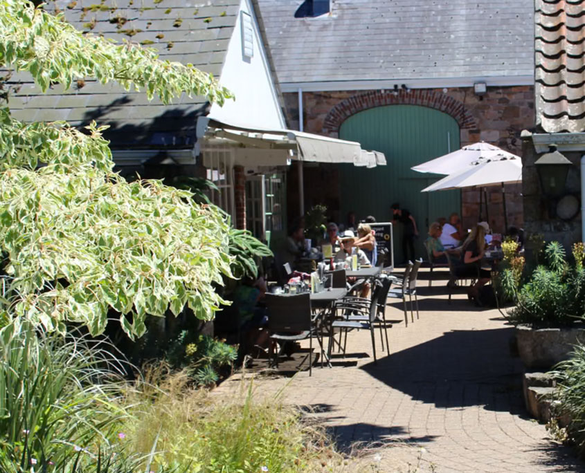 Dementia Jersey Carers Support Group Ransoms Garden Centre