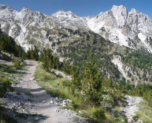 Dementia Jersey Trek Albania 2026