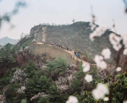 Dementia Jersey Great Wall of China Trek 2027